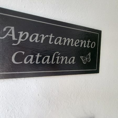 Apartamento Catalina Πλάγια Μπλάνκα Εξωτερικό φωτογραφία
